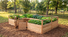 Outdoor Living Today Garden in a Box 12x8 western red cedar raised garden bed with open gate, growing lettuce, kale and chard on a wood chip base