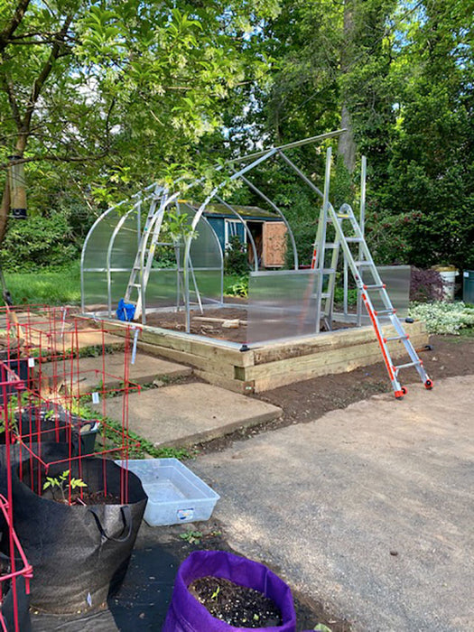 Backyard installation of Riga greenhouse frame with aluminum arches, ladders, and wood base, surrounded by garden plants and starter vegetable beds.
