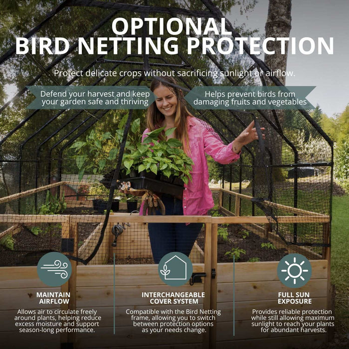 Gardener carrying seedlings through the open bird netting cover on an Outdoor Living Today 8×12 cedar raised garden bed.