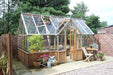 Alton Cambridge Cedar Greenhouse surrounded by vibrant plants, showcasing its natural wooden design.