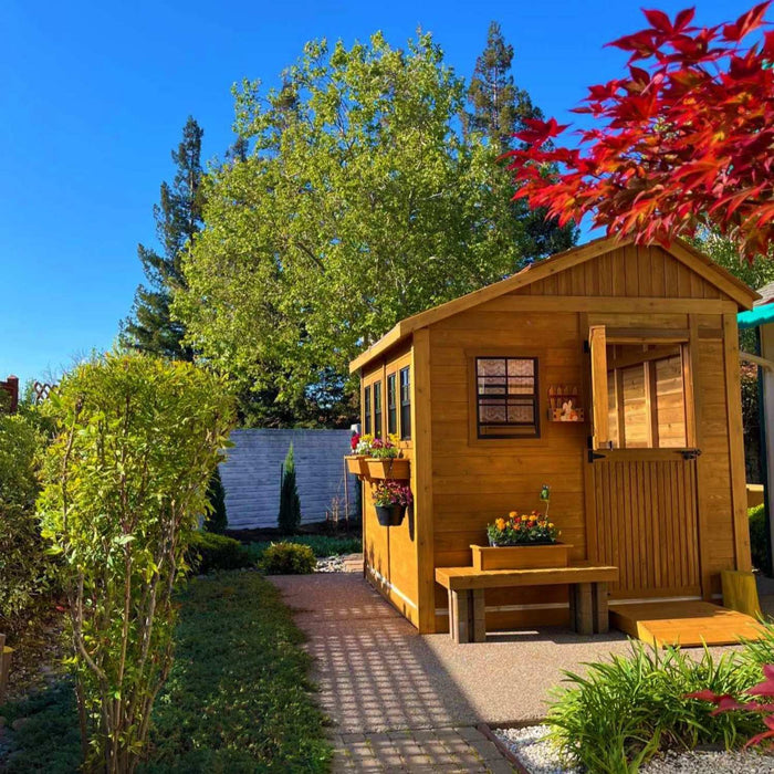 Front view of the cedar Sunshed garden shed, 8x12, showcasing its double doors and multiple sunlit windows.