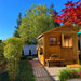 Front view of the cedar Sunshed garden shed, 8x12, showcasing its double doors and multiple sunlit windows.