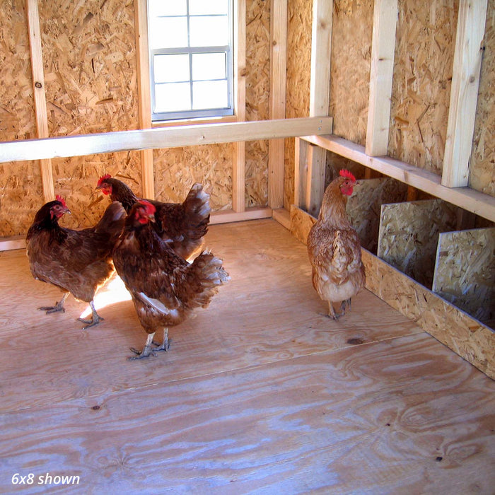 Group of hens inside the 6x8 Colonial Gable chicken coop from Little Cottage Co. near window and nesting boxes.