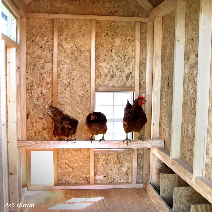 Three hens perched on a wooden roost inside the 4x6 Colonial Gable chicken coop by Little Cottage Co.