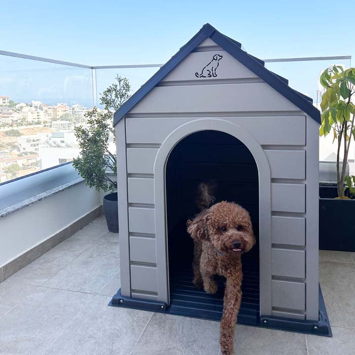 Poodle stepping out of Duramax Pet Kennel placed on a balcony with city view in the background.