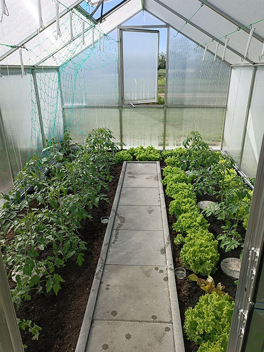 The interior view of the Hoklartherm Nelke Pro 4 Greenhouse, illustrating ample space for gardening and efficient layout.