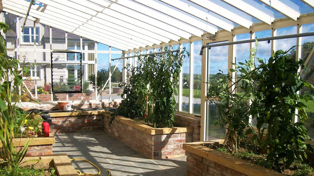 Interior of a glass Arcadia greenhouse with brick raised beds growing tomato plants.