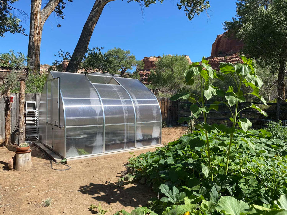 Exaco Riga 3 greenhouse set in a sunny backyard garden, surrounded by thriving vegetables and tall sunflowers against a clear blue sky.