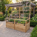 Outdoor Living Today Garden in a Box 6x3 with Lid / Trellis raised open on a paver patio, cedar bed planted with lettuce, kale and marigolds