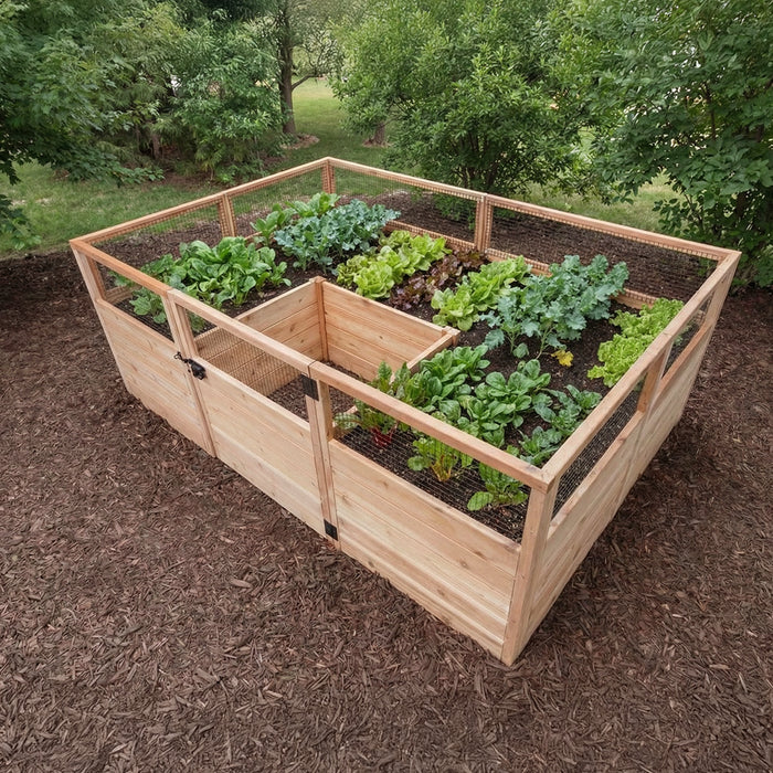 Angled view of the Outdoor Living Today 8x5 Garden in a Box on bark mulch, gate latched, beds full of romaine, kale, chard and leaf lettuce