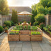 8x5 Garden in a Box in a fenced backyard, western red cedar walls and wire mesh topper framing rows of lettuce, basil and herbs at sunset