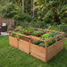 Outdoor Living Today Garden in a Box 8x5 raised cedar garden bed filled with leafy greens and vegetables in yard