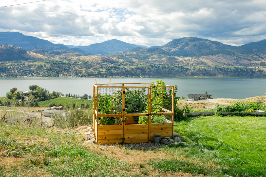 A stunning backyard view featuring the Outdoor Living Today Garden in a Box 8×8, filled with thriving vegetables and enclosed by a protective deer fence