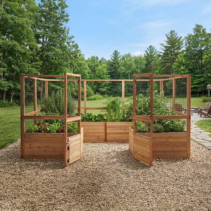Outdoor Living Today Garden in a Box with Deer Fence 12x8 on gravel, cedar beds of lettuce, herbs and tomatoes with the gate swung open