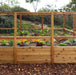 Side view of the Outdoor Living Today Garden in a Box with Deer Fence 8x12, cedar bed of corn, chard and marigolds behind wire mesh panels