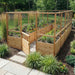Outdoor Living Today Garden in a Box with Deer Fence 8x16, cedar gate open to a flagstone path, corn, marigolds and rosemary in the beds