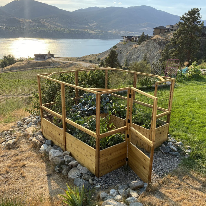 Outdoor Living Today Garden in a Box with Deer Fence 8x8 on a rock-edged hillside above a lake, cedar gate open to kale, corn and beans