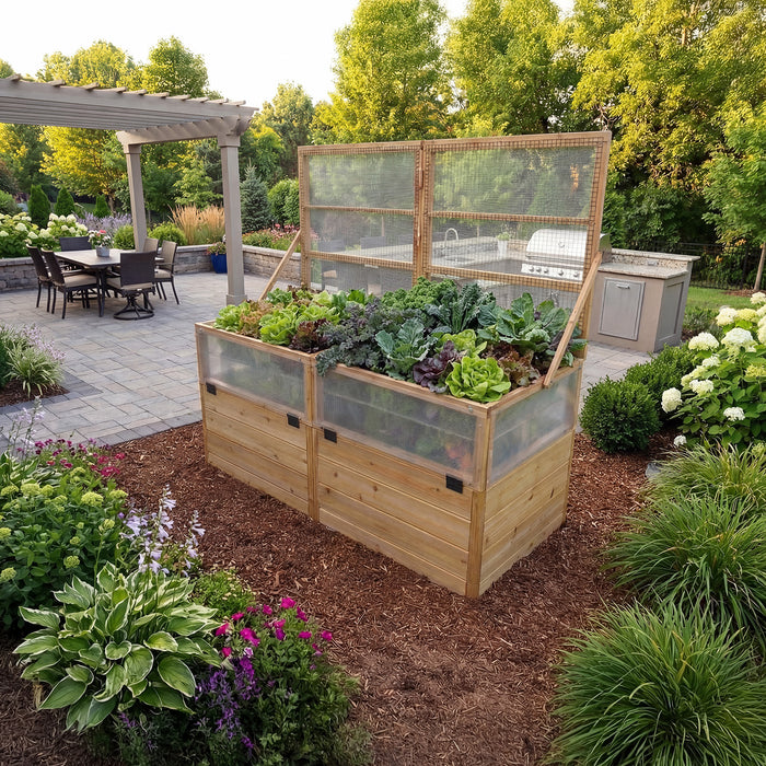 6x3 Greenhouse with Garden in a Box propped open on its support arm, revealing lush green and red leaf lettuce and kale in the cedar bed