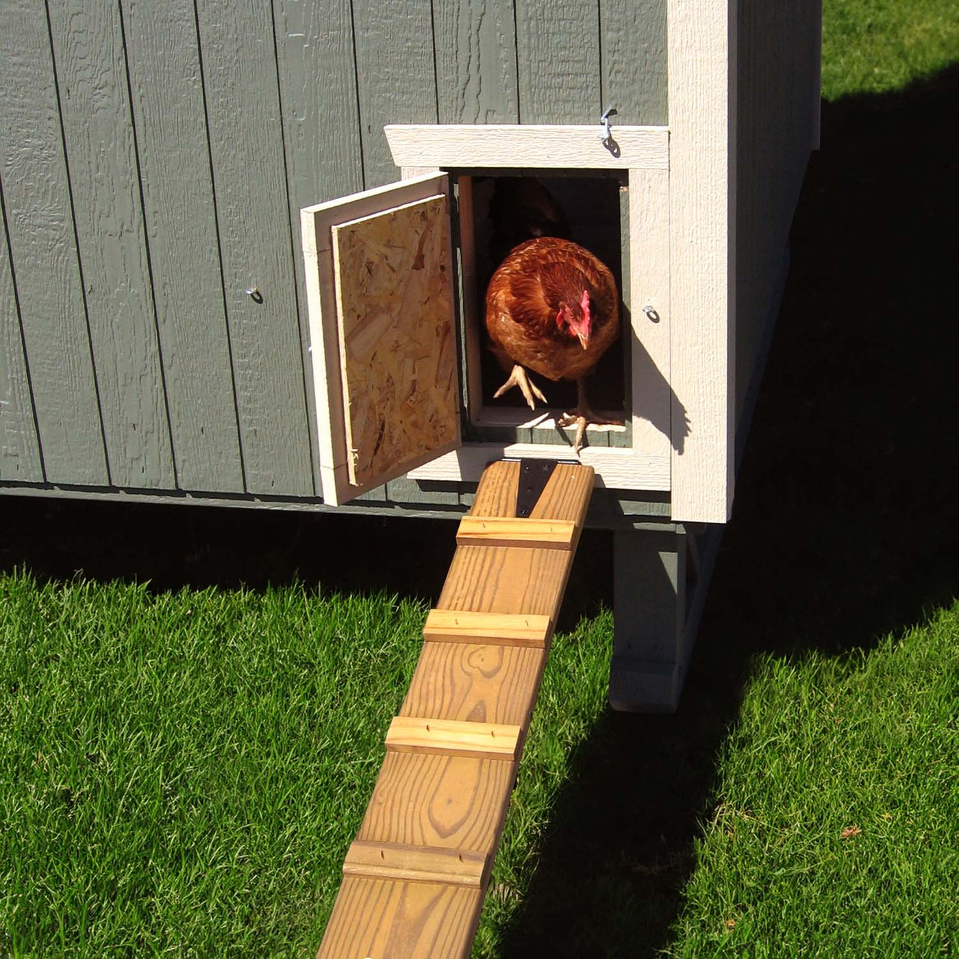 Colonial Gable Coop - High-Quality Chicken Coop from Little Cottage Co ...