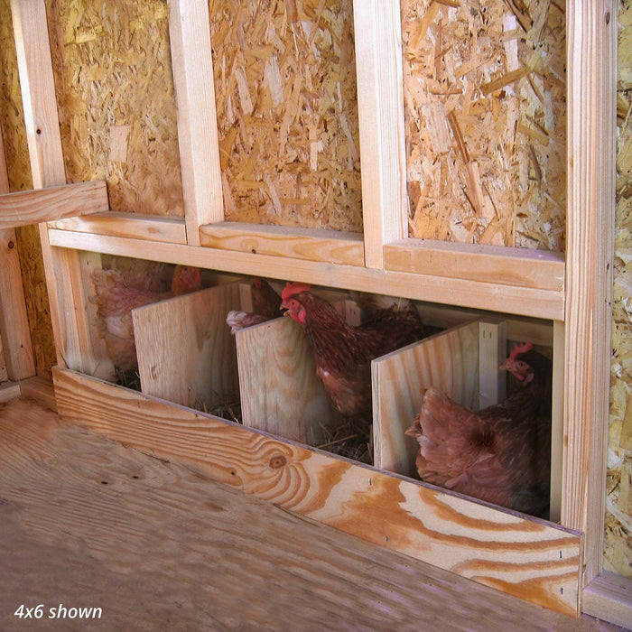Chickens sitting inside wooden nesting boxes in the 4x6 Colonial Gable Coop from Little Cottage Co.