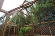 Interior roof design of the Alton Cambridge Cedar Greenhouse showcasing natural wooden frames and ventilation windows.