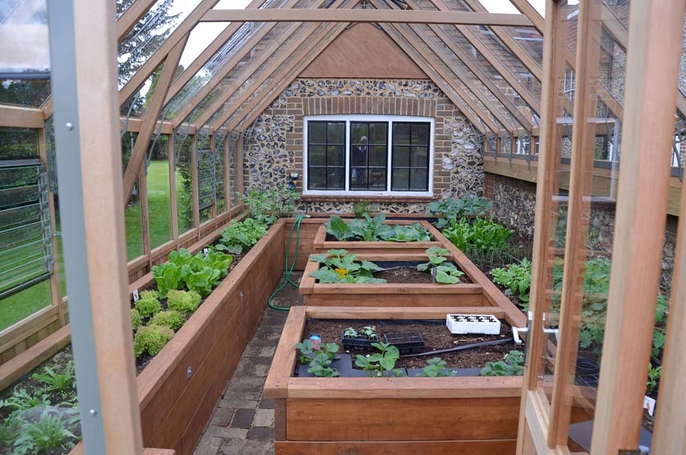 Interior view of a cedar Westminster greenhouse, displaying raised wooden garden beds with lush green plants and an attached stone wall.