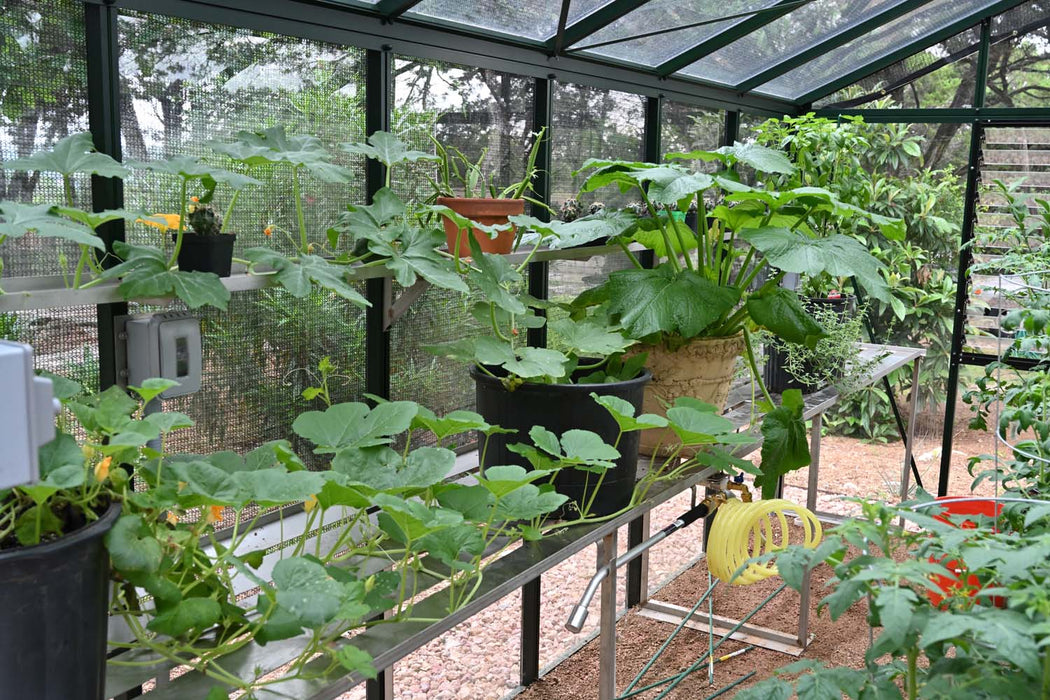 Interior of VI 34 Greenhouse showing potted vegetable plants, herbs, and a mounted hose system against glass walls with shade netting.