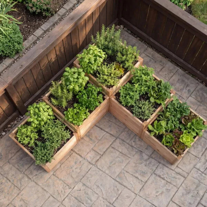 Overhead view of the L-Shaped Tier raised garden bed showing stepped cedar boxes filled with basil, parsley, rosemary and leaf lettuce