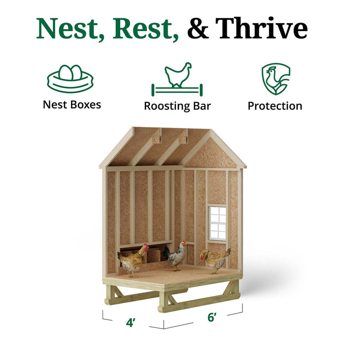 Interior view of Little Cottage Co. 4x6 Chicken Coop showing roosting bar, nest boxes, and chickens inside a framed structure for nesting and protection.