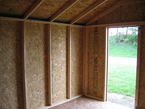 Inside view of the Little Cottage Company Gable Value Shed with the door open, showing the OSB roof sheathing and wall framing.