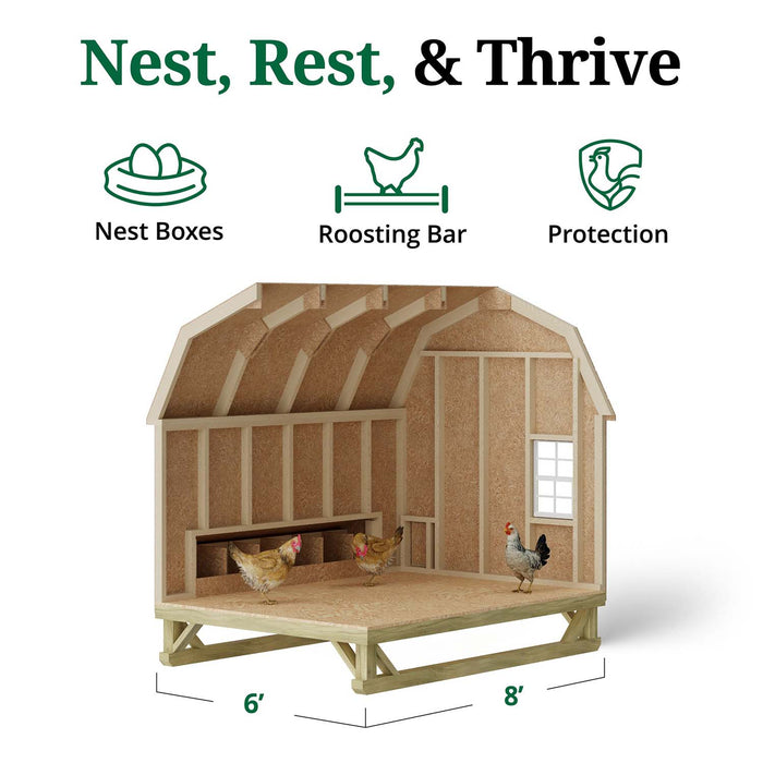 Interior view of Little Cottage Co. 6x8 Gambrel Barn Chicken Coop showing wooden framing, nest boxes, and hens inside the spacious roosting area.