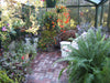 Lush indoor garden inside Royal Victorian VI 34 Greenhouse featuring ferns, flowering plants, wicker seating, and brick flooring.
