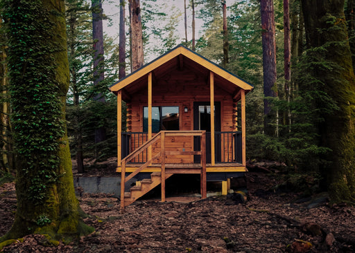 A cozy Oasis Tiny Estates Aspen cabin nestled amongst tall trees in a forest. The cabin has a porch with stairs leading down to the forest floor.