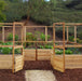 Garden in a Box with Deer Fence 12×8 with opened doors