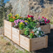 Outdoor Living Today 5.5x2 tiered L shaped garden bed made from Western red cedar with flowers