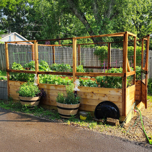 8x12 Garden in a Box with Deer Fence in a backyard, western red cedar frame full of leafy vegetables with barrel planters of herbs alongside