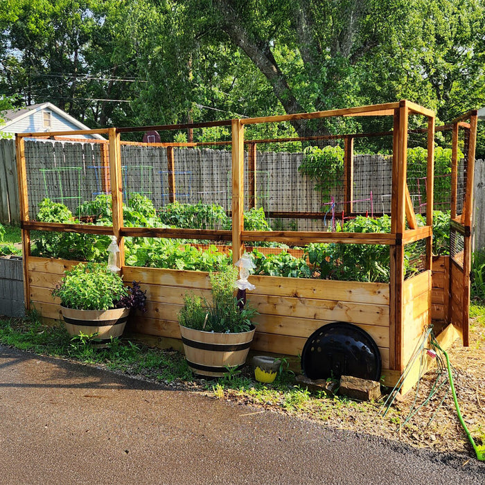 8x12 Garden in a Box with Deer Fence in a backyard, western red cedar frame full of leafy vegetables with barrel planters of herbs alongside