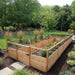 Outdoor Living Today 8x16 raised garden bed kit with latched cedar gate, ornamental grasses and a manicured lawn framing the planted beds