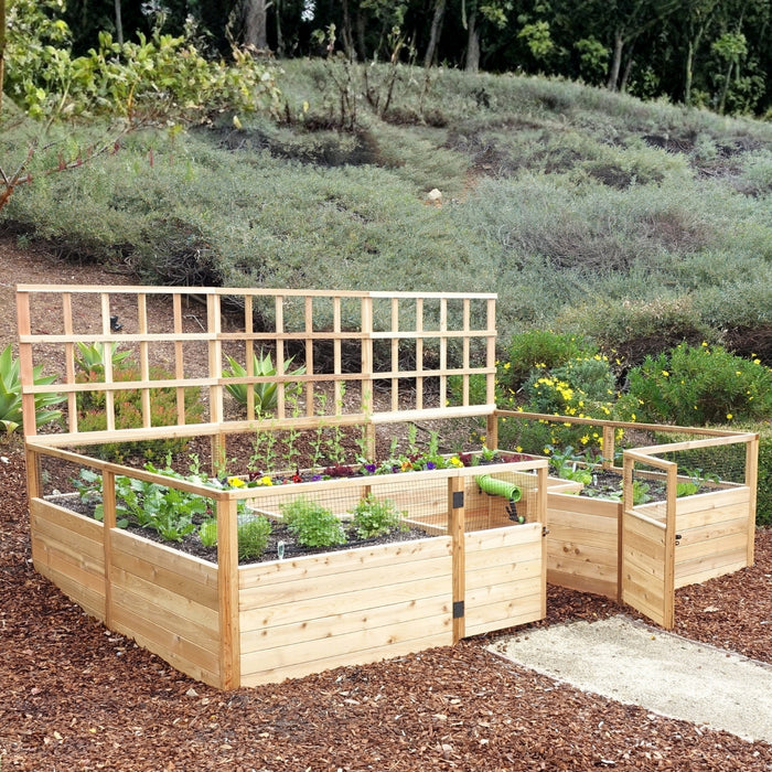 Angled view of the cedar lattice trellis add-on framing a raised garden bed planted with lettuce, herbs and pansies on a bark mulch base