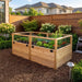 Outdoor Living Today Garden in a Box 6x3 cedar raised bed with wire mesh fencing, growing lettuce, kale and marigolds in a mulched backyard