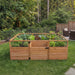 Outdoor Living Today Garden in a Box 8 x 5 western red cedar raised garden bed with mesh panels in backyard lawn