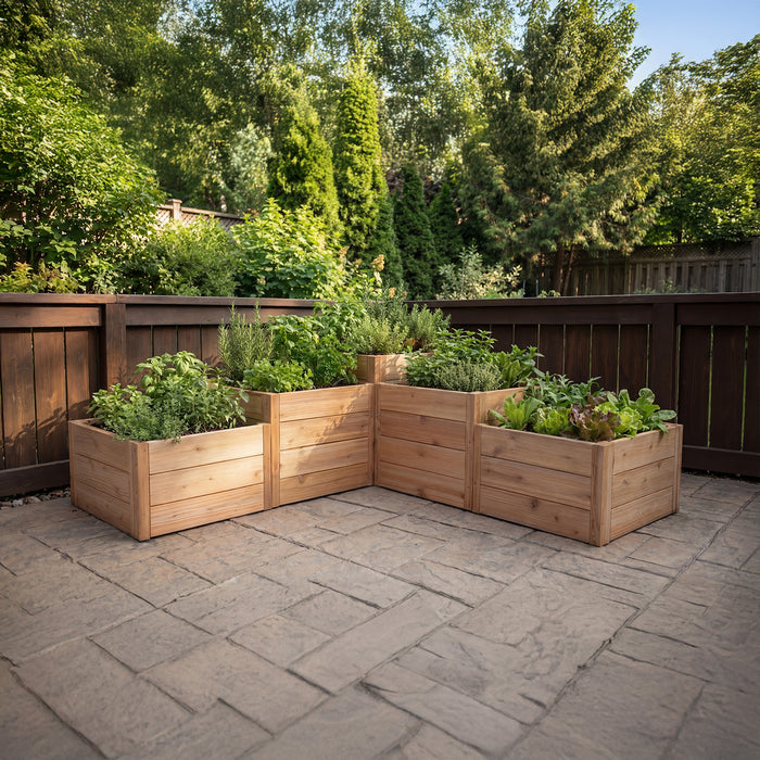 Outdoor Living Today L-Shaped Tiered Raised Garden Bed in western red cedar on a stone patio, planted with basil, rosemary, thyme and lettuce