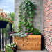 Outdoor Living Today Urban Raised Garden Bed 4x1.5 on a balcony, cedar planter with trellis vine, dusty miller and petunias against brick