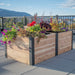Outdoor Living Today Urban Raised Garden Bed 6x3 in western red cedar with black steel corner posts, full of petunias, coleus and geraniums