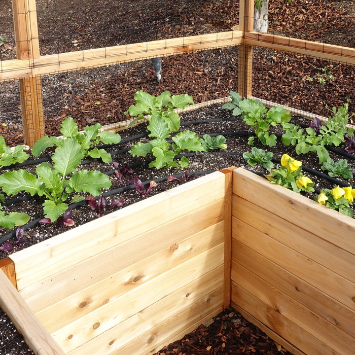 Corner detail of the RB128 Garden in a Box showing western red cedar planks, drip irrigation lines, young greens and yellow pansies in bloom