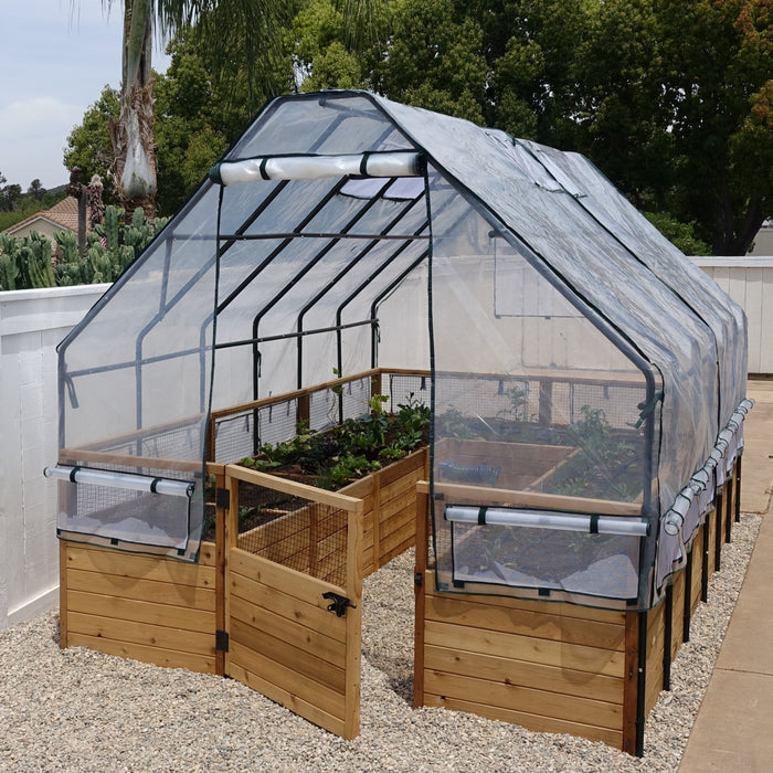 RB812 Garden in a Box 8x12 with Greenhouse on gravel, clear cover with rolled-up vents, cedar gate open to planted beds inside