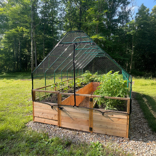 RB816 Garden in a Box 8x16 with Birdnetting Cover on a gravel pad, tomato and pepper plants protected under the peaked net canopy