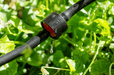 RSI-MGS48 connector used in Riverstone Greenhouse Irrigation Systems drip irrigation tubing with water flow