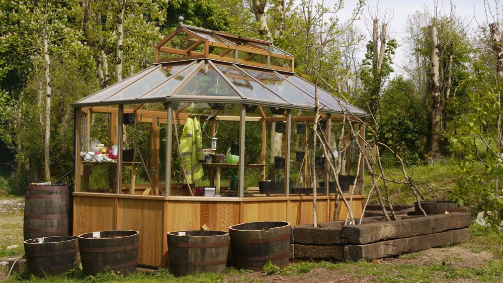 Side profile of the Alton Cedar Structure Evolution Octagonal 9x11, set in a lush garden with wooden and glass details.