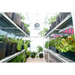 Inside view of a Solexx Garden Master greenhouse with thriving plants under LED grow lights on metal shelving, a fan, and fabric plant containers.